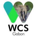 WCS - GABON